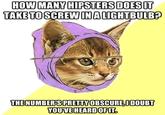 Hipster Kitty