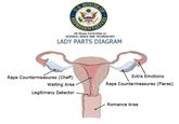 Todd Akin's Sexual Assault Gaffe