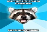 Lame Pun Coon