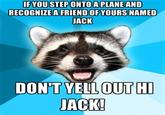 Lame Pun Coon