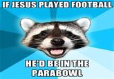 Lame Pun Coon