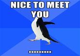 Socially Awkward Penguin