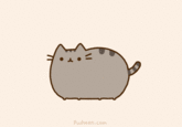 Pusheen