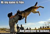 And Welcome to Jackass