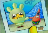 Dolan
