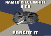 Art Student Owl