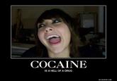 Boxxy