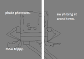 Fake Photosets
