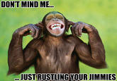 That Really Rustled My Jimmies