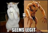 Totally Looks Like / Separated At Birth