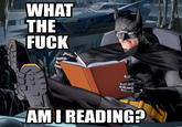 WHAT THE F*CK AM I READING?