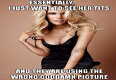 Megyn Kelly Essentially
