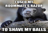 Confession Bear