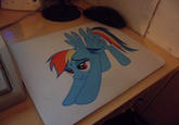I Want to Cum Inside Rainbow Dash