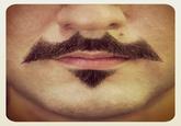 Batman Moustache (Batstache)