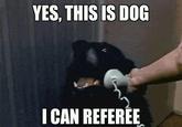 NFL Replacement Refs