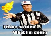 NFL Replacement Refs