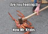 SpongeBob SquarePants