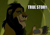 True Story
