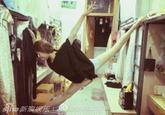 Perfect Splits