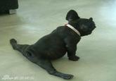 Perfect Splits