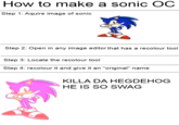 Sonic OCs