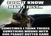 Introspective Pug