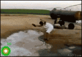 BP Oil Spill