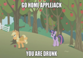 Go Home, You Are Drunk