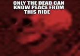 Mr. Bones' Wild Ride