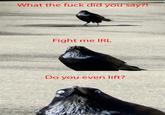 Insanity Crow