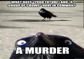 Insanity Crow
