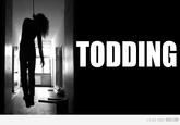 Amanda Todd's Death