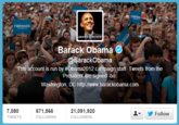 Novelty Twitter Accounts