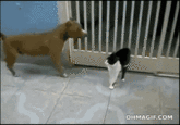 Lightsaber duels