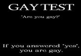 Gay Test