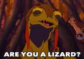 Are You A Wizard