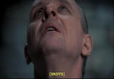 Descriptive Noise