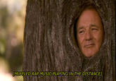 Descriptive Noise