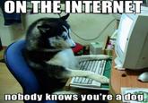On the Internet, Nobody Knows You're a Dog