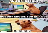 On the Internet, Nobody Knows You're a Dog