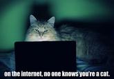 On the Internet, Nobody Knows You're a Dog