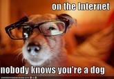 On the Internet, Nobody Knows You're a Dog