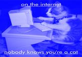 On the Internet, Nobody Knows You're a Dog