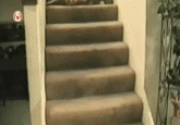 Do A Barrel Roll
