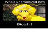 Fired Big Bird / Mitt Romney Hates Big Bird