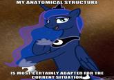 My Little Pony: Friendship is Magic