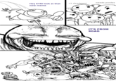 Trollbait / Nobody is Right