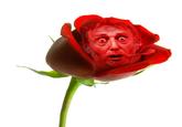 Michael Rosen YTPs