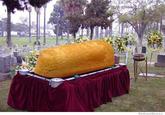 Hostess Bankruptcy / No More Twinkies